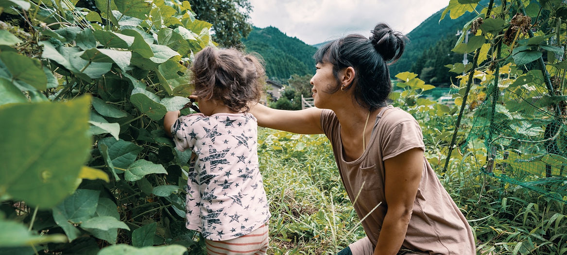 Community gardening and sustainability